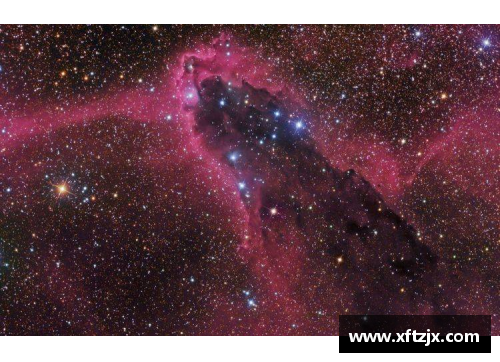中国少数民族体育明星璀璨星空激励人心的奋斗故事与成就分享